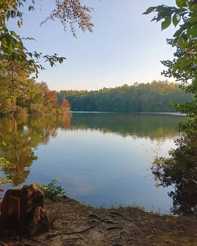 a view on Waller Mill Park in Grove, VA